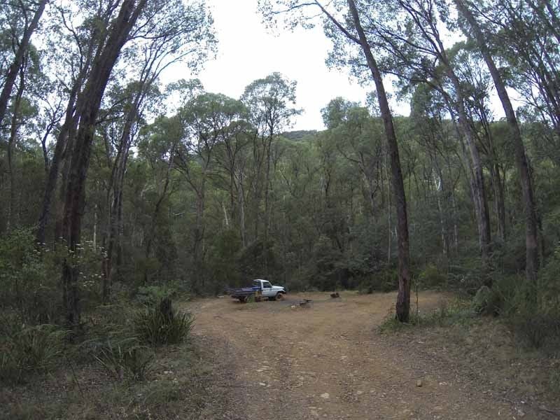 Speciman Creek, Big River State Forest