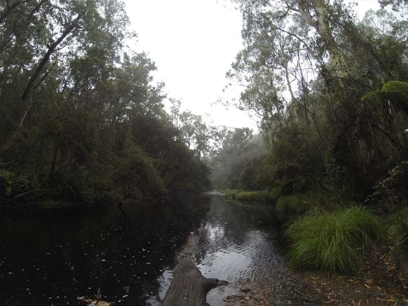 Big Bend, Big River State Forest