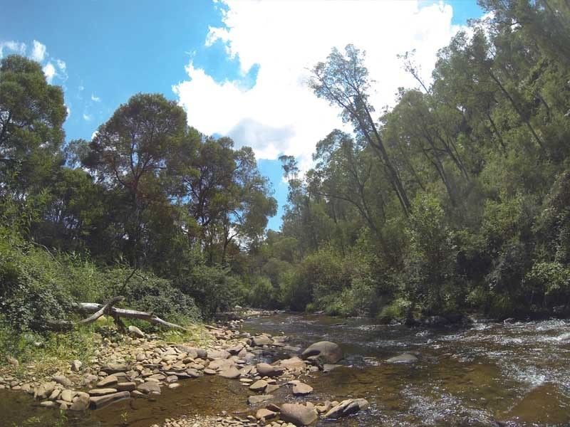 Smoko Camp Reserve,Smoko, South of Bright