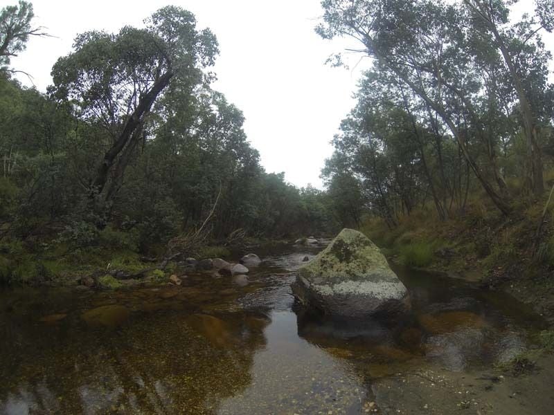 CRB Camping Area, Omeo Hwy, Omeo Region