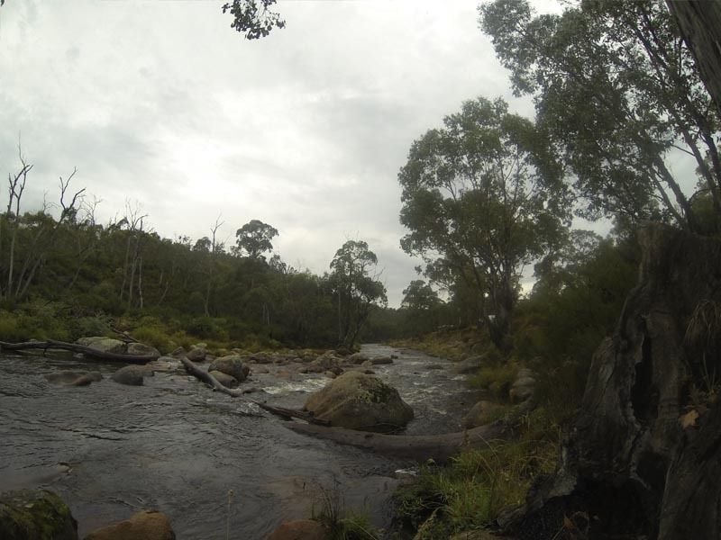 Jokers Flat, Omeo Hwy, Omeo Region