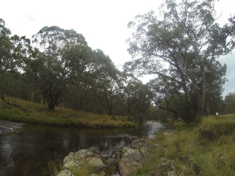 Big River Bridge, Omeo Hwy, Omeo Region