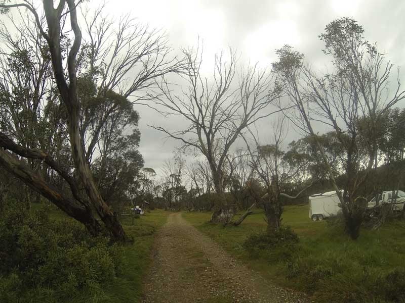 Langford West, Alpine NP, South of Falls Creek