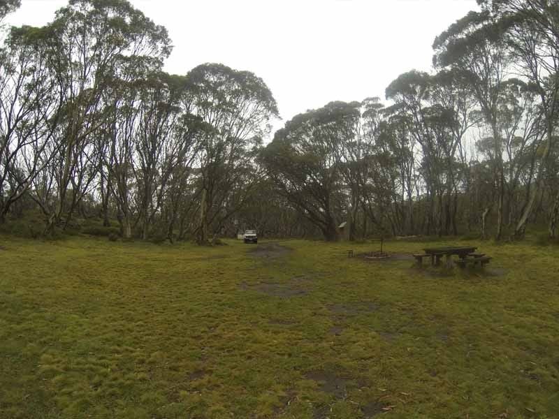Buckety Plain, Alpine NP, South of Fall Creek
