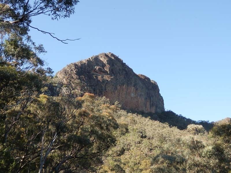 Bark Hut, Mount Kaputar Nat Park