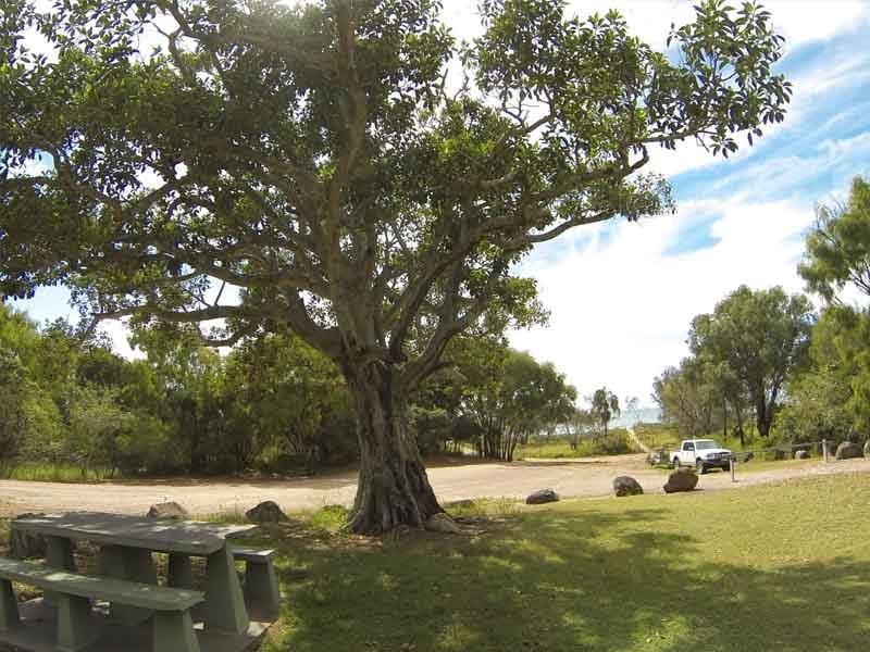 Norval Park Dune Camping, North of Bundeburg