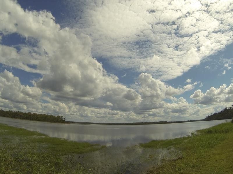 Lake Lenthall Camp Area, Duckinwilla