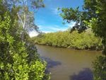 Baratta Creek, Bowling Green Bay Nat Park, South of Townsville
