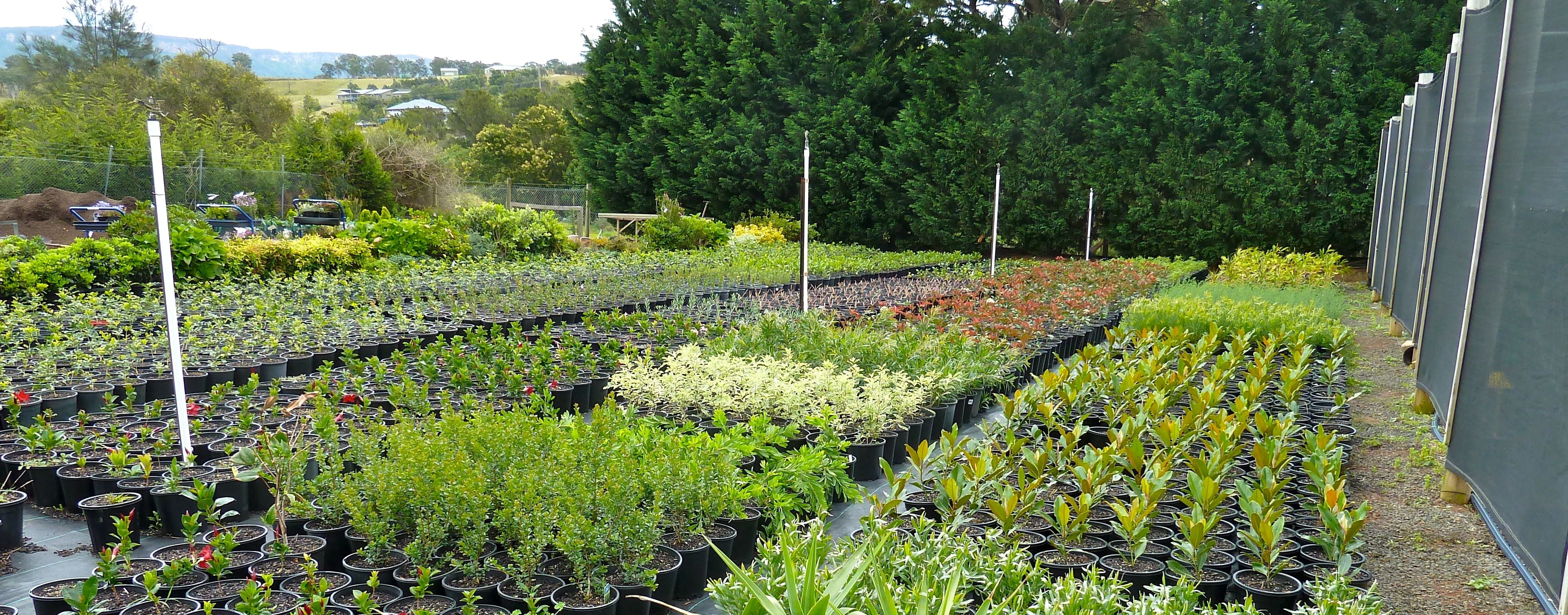 The Nursery Image -532a59333b52e