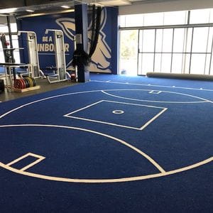 North Melbourne Club Indoor Surface Image -5fc82bc4d6f3e