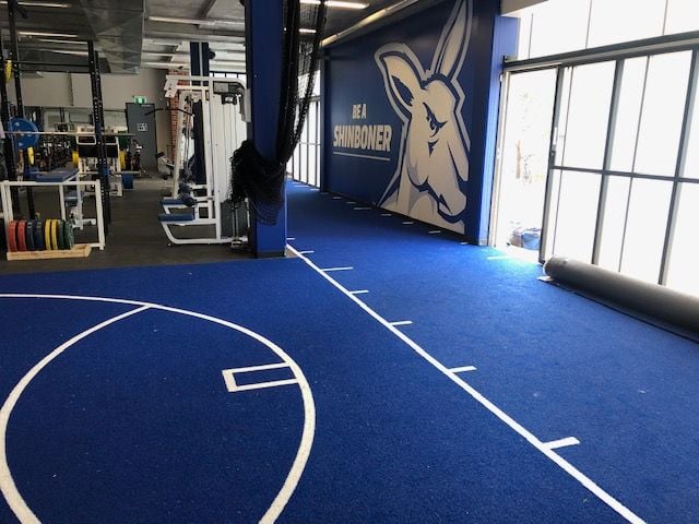 North Melbourne Club Indoor Surface Image -5fc82bc53dc9a