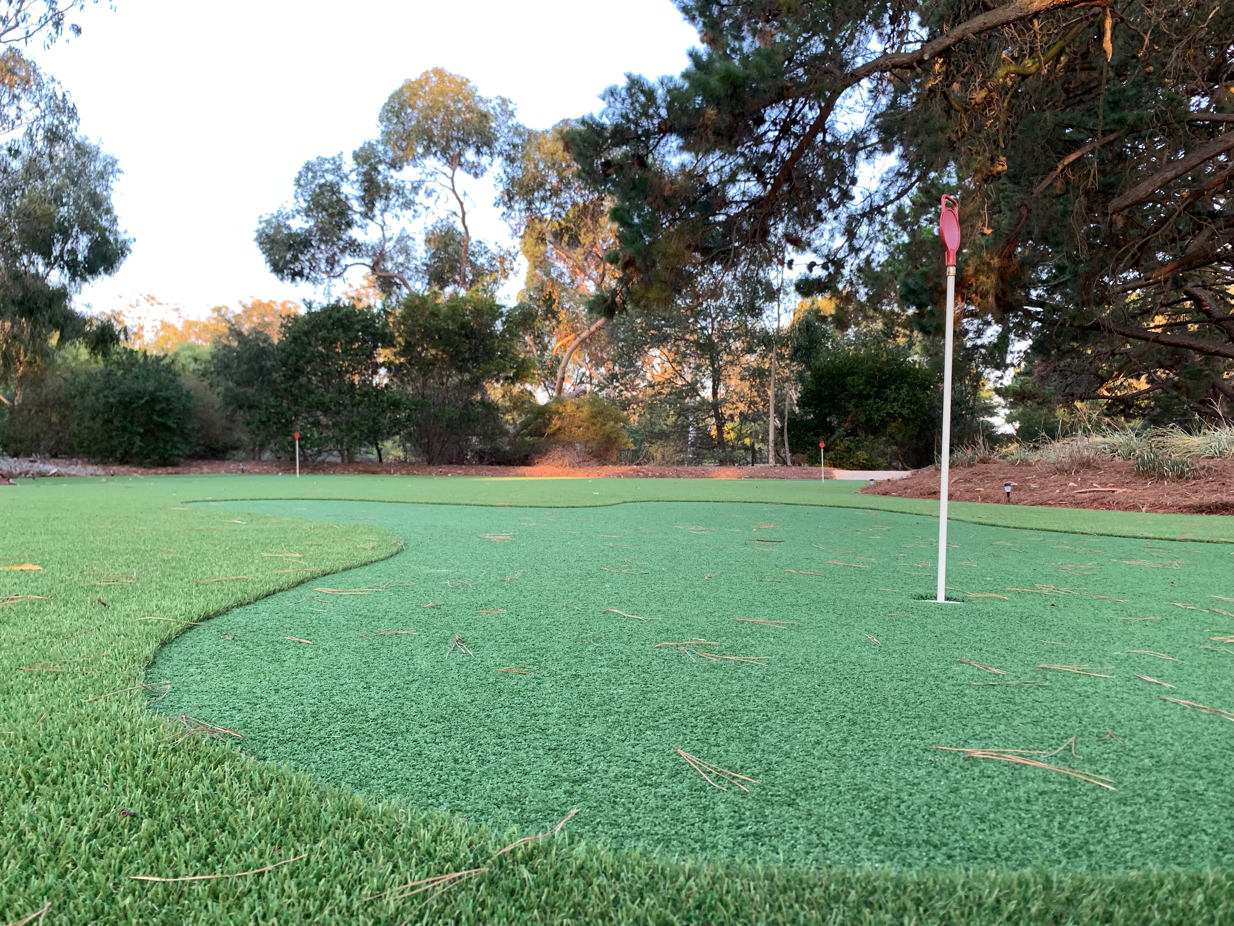 Synthetic Grass Putting Greens Image -678f266816b9f