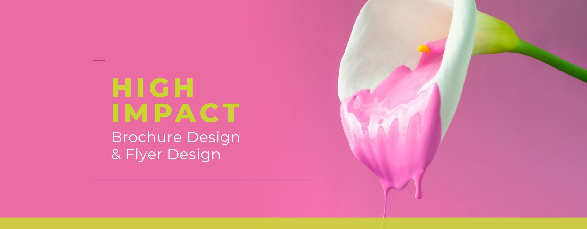 brochured designers