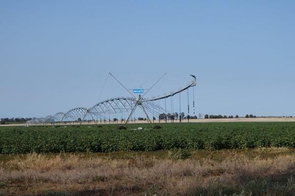 Benificial-Water-Irrigation