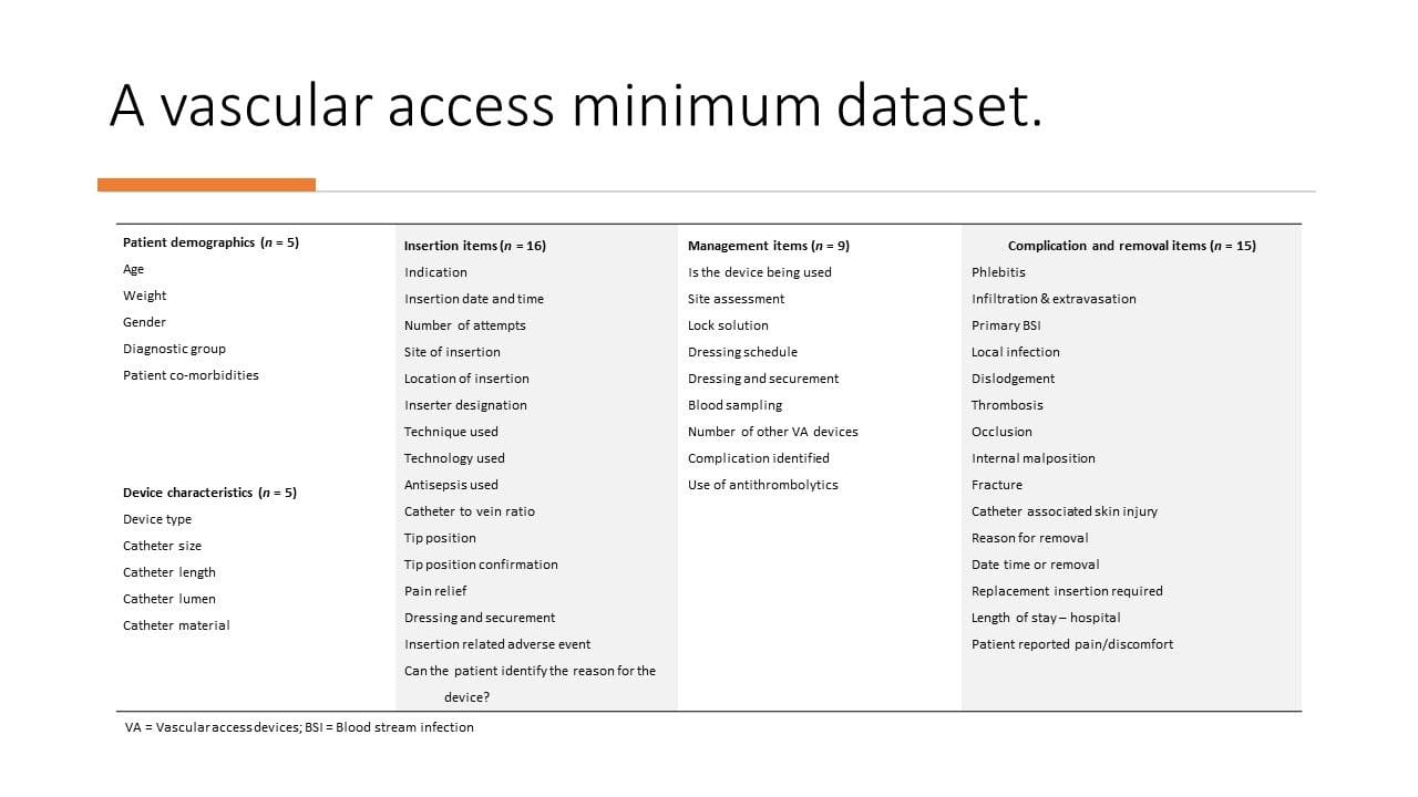 A vascular access minimum dataset