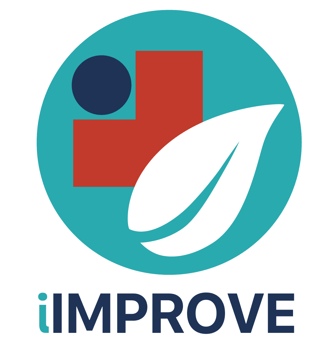 iIMPROVE Program