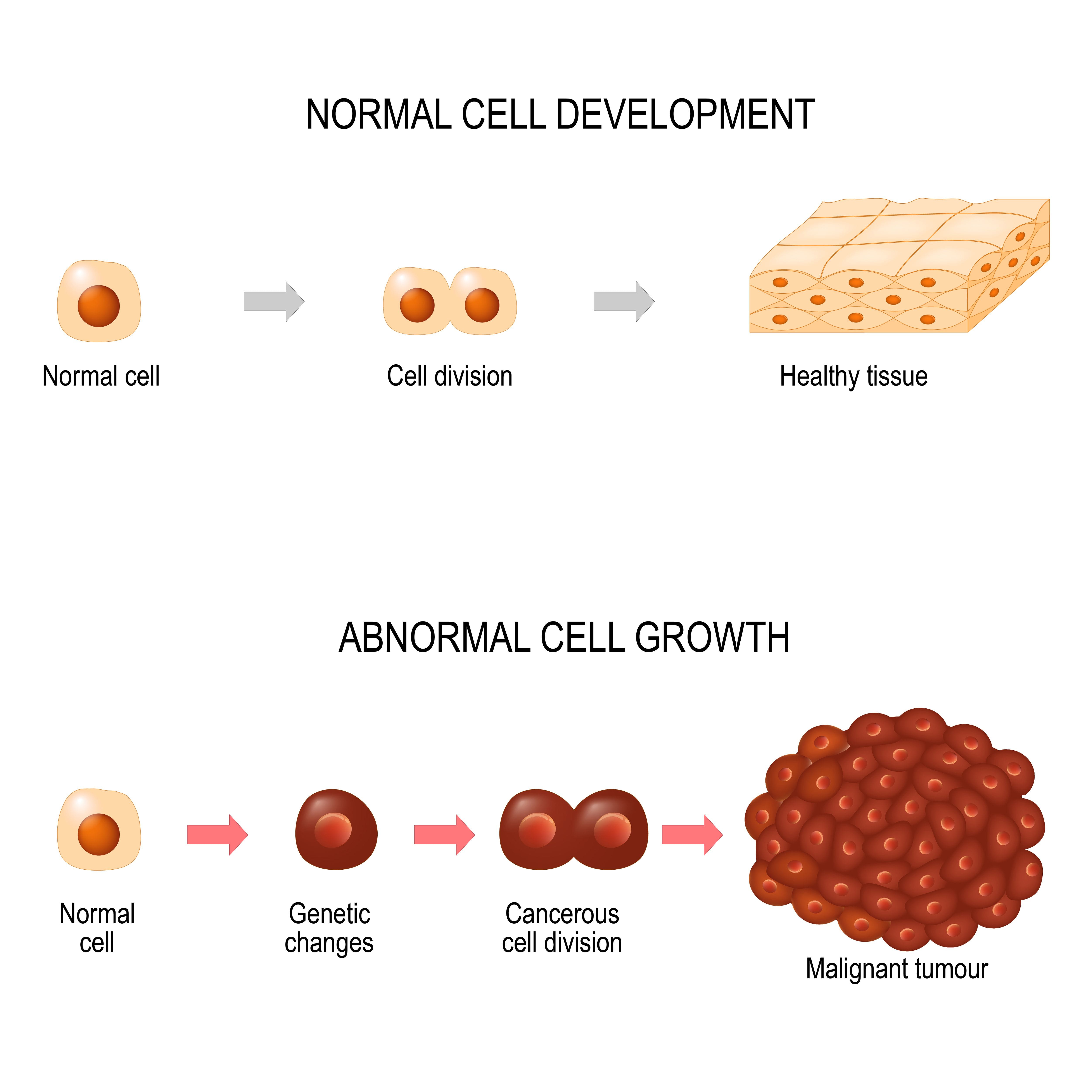 Cancer Cells Normal Cells: How Are They Different?, 46% OFF