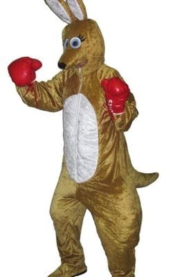 Boxing Kangaroo