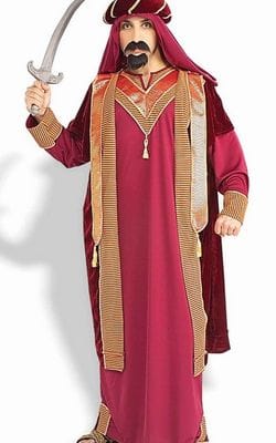 Sultan Costume  -  $85