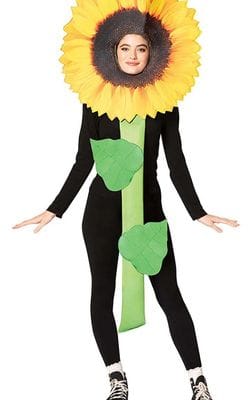 Sunflower Costume  -  $85