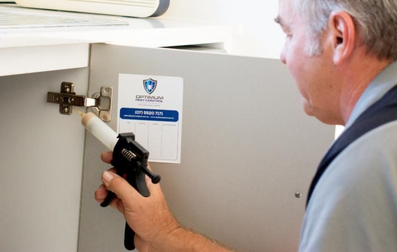 Pest Control Gold Coast