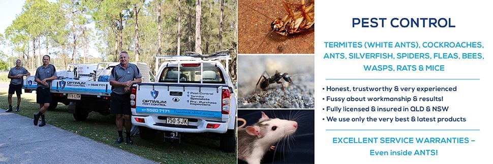 pest control gold coast