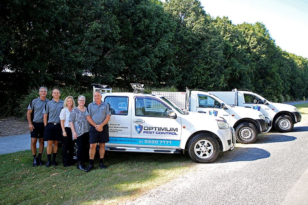 Pest Control Gold Coast