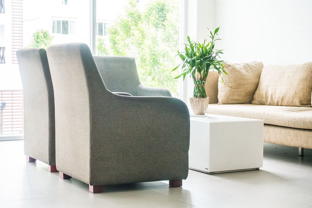 Termite Inspection Gold Coast