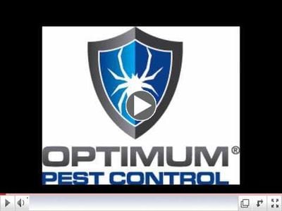 Optimum Pest Control