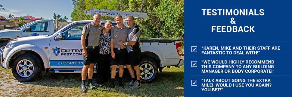 Pest Control Gold Coast