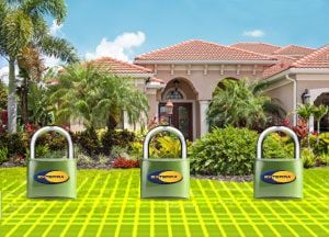 Exterra Gold Coast Termite