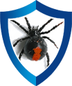 Pest Issues | Optimum Pest Control Gold Coast | Cockroaches, ants, spiders, termites, bees, wasps