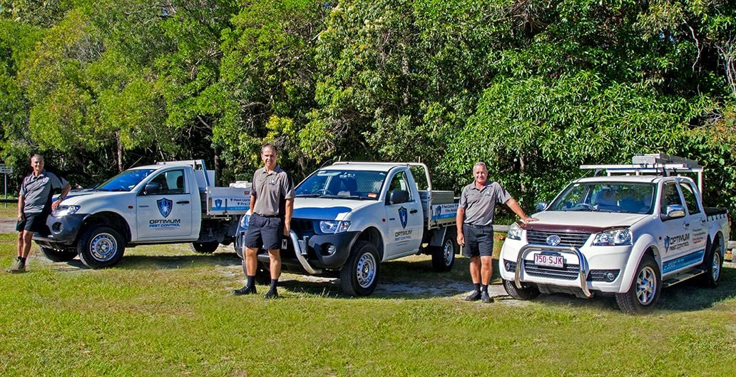 Licensed Pest Control Gold Coast