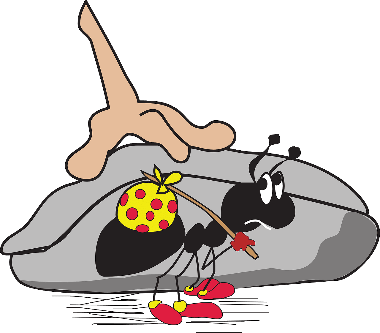 Pest Control Gold Coast