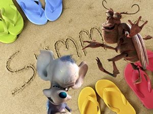 Pest Control Gold Coast