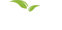 Foods from the Earth