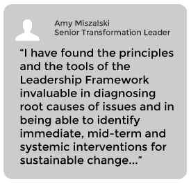 Amy Miszalski, Senior Transformation Leader