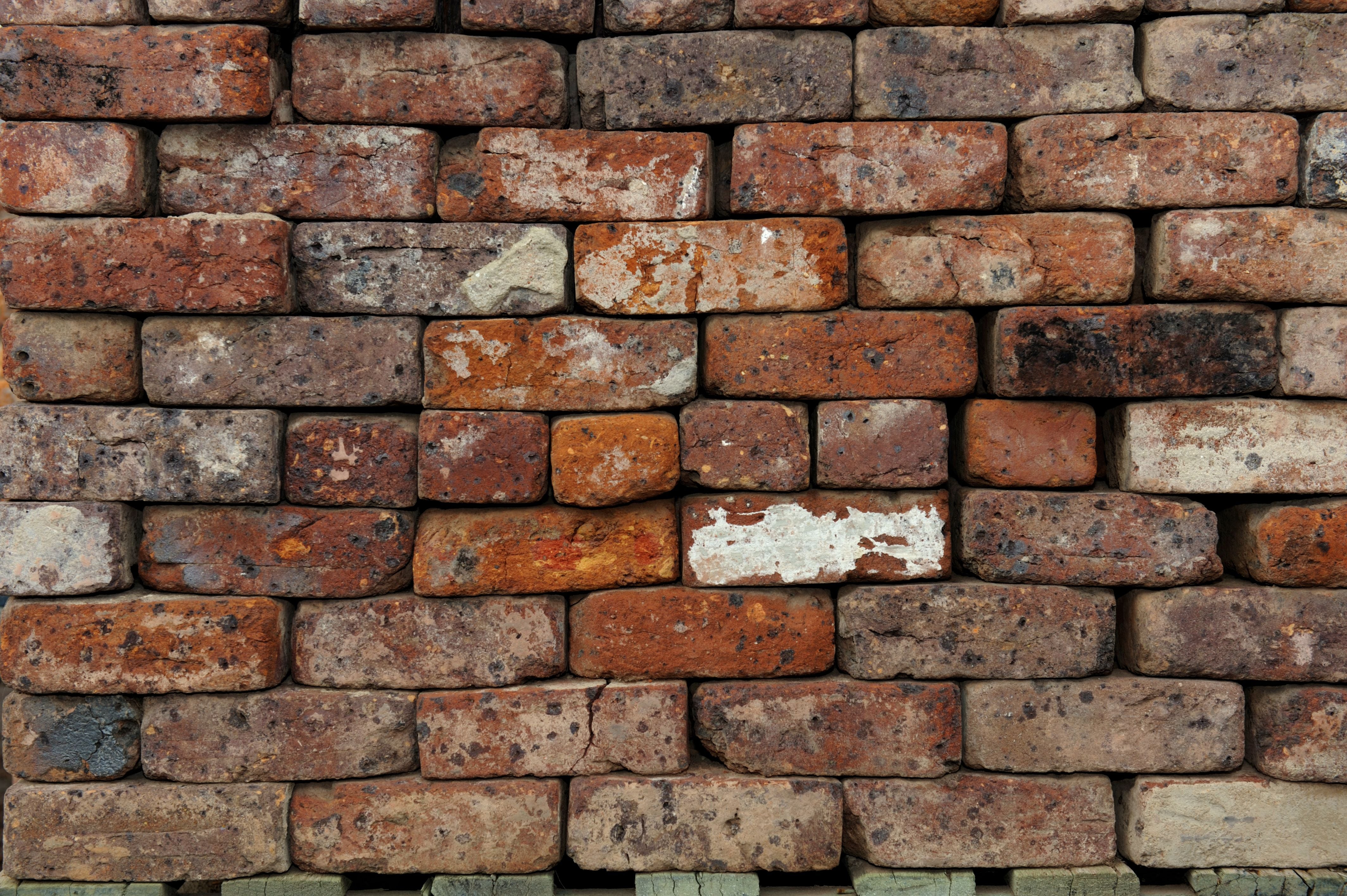 Bricks Gallery Image -5761ff3f04f0c