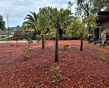 Inspiration Gallery Image -6925347a8cb72