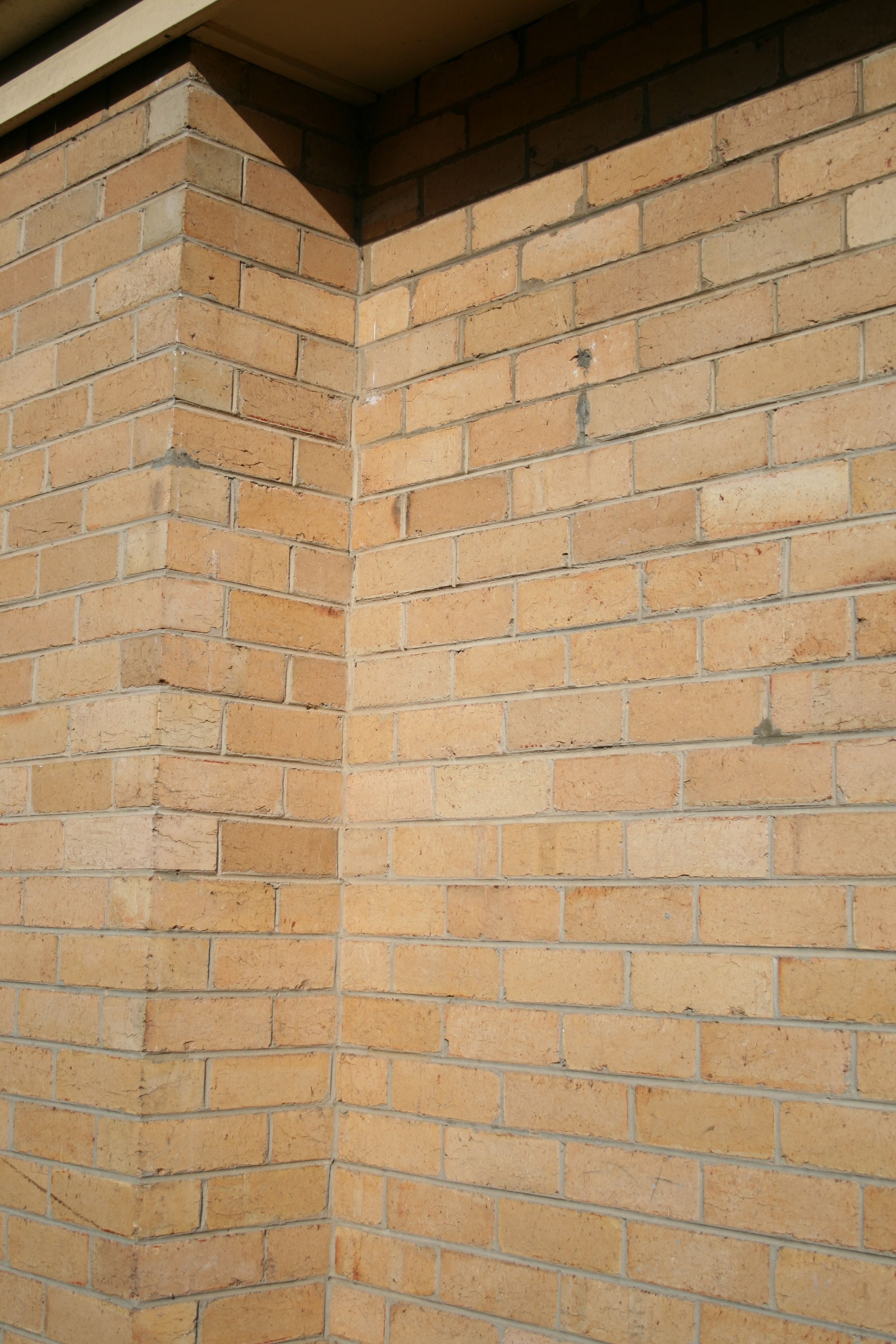 Face Cream Bricks Face Cream Bricks