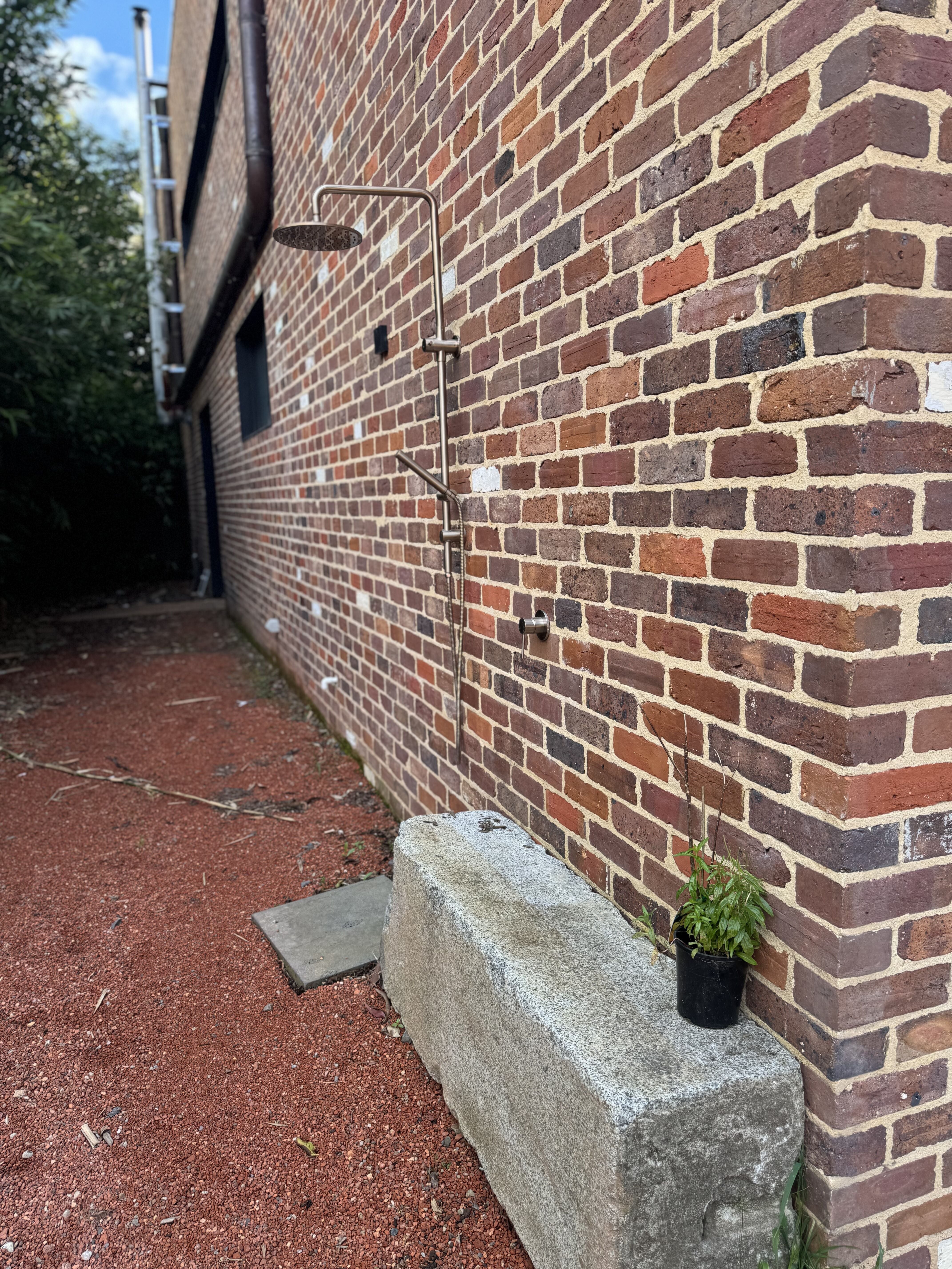 Hawthorn Black Bricks Hawthorn Black Bricks
