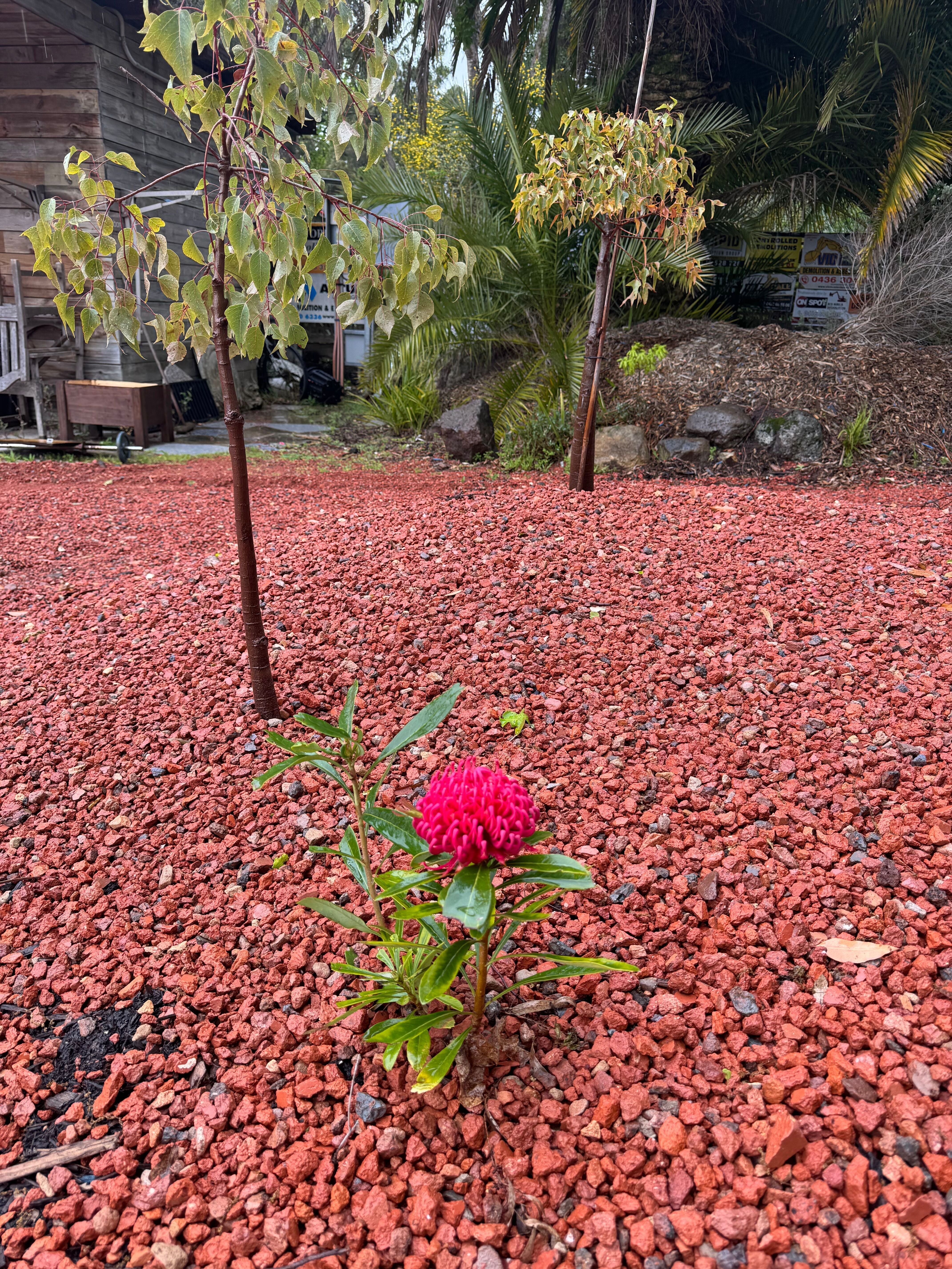 2.5mm-20mm - driveways, paths 2.5mm-20mm - driveways, paths