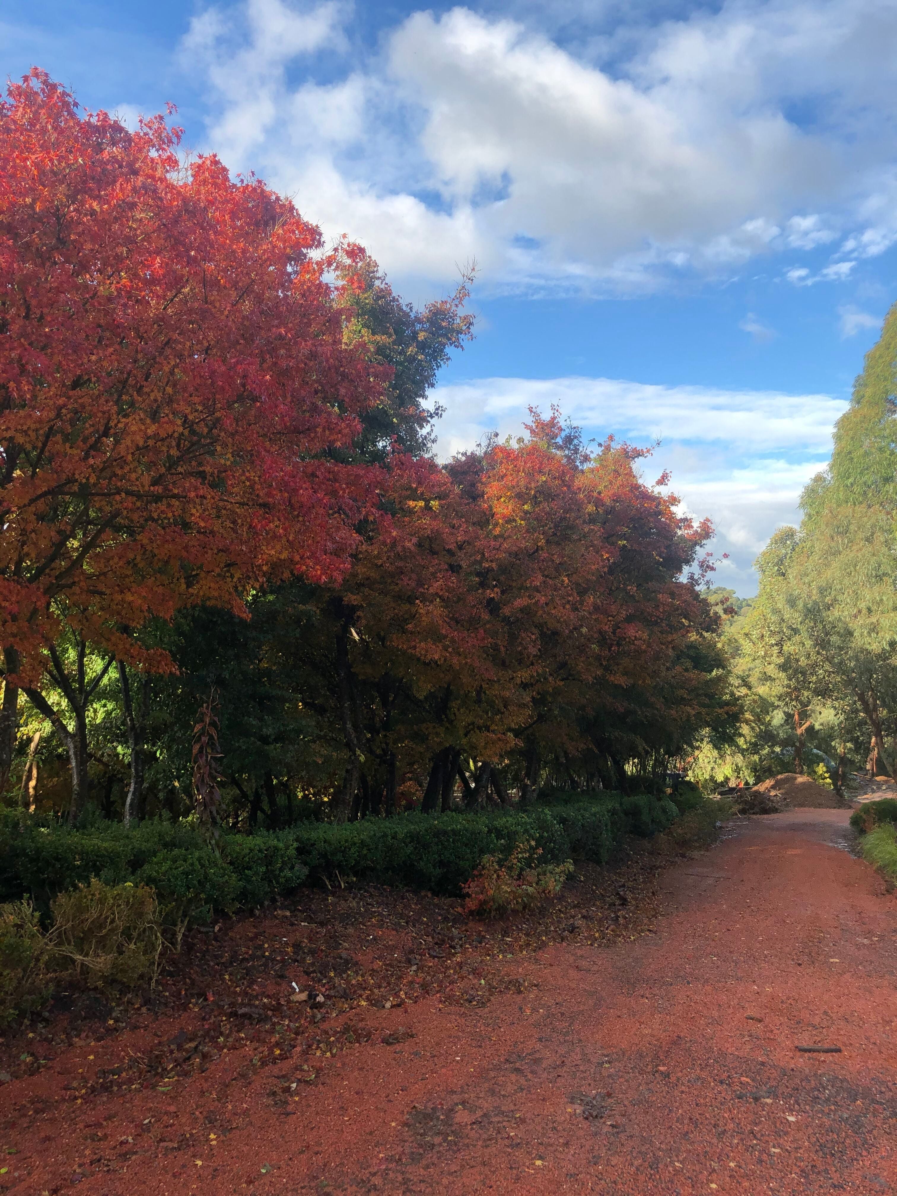 2.5-20mm Crushed Brick - Driveways - paths Image -69b0db88b6115