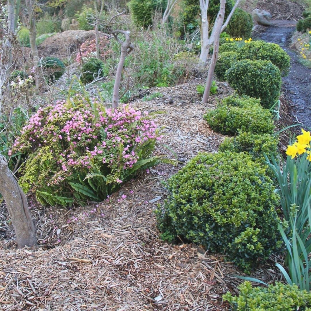 EcoGroup Mulch