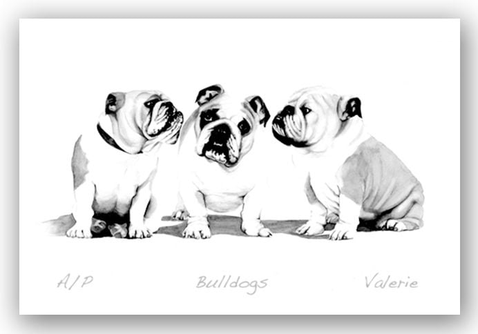 Bulldogs - Valerie