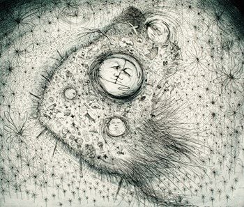 Life in the field with small things - Jeff Gardner