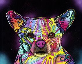 Terrier Dog