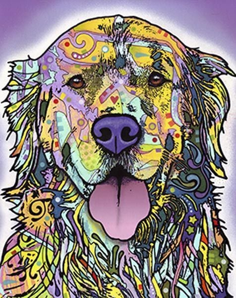 Golden Retriever Dog