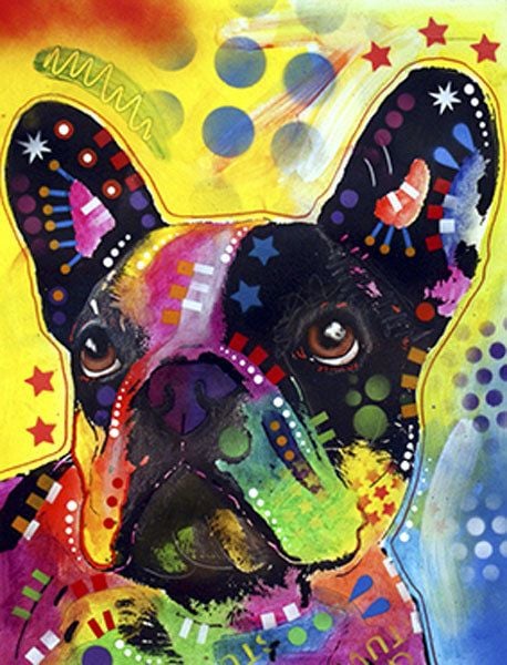 Boston Terrier