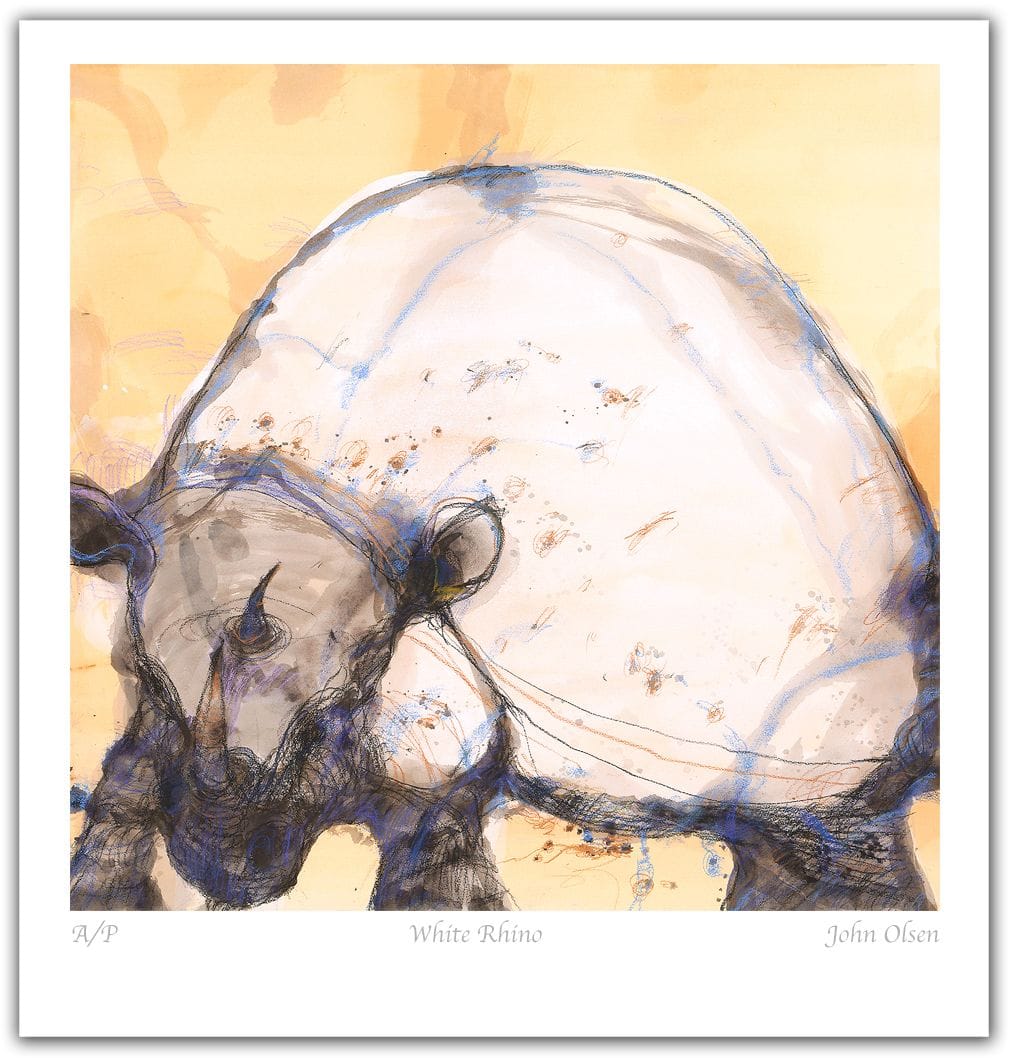 John Olsen - White Rhino